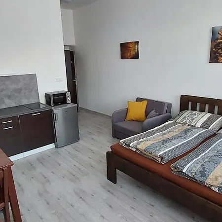 Siskovna Guest house 3*